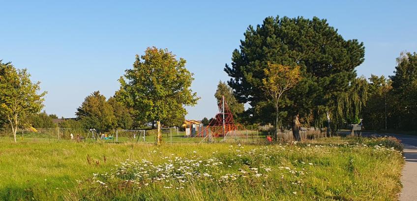 Grønt areal med klippet sti